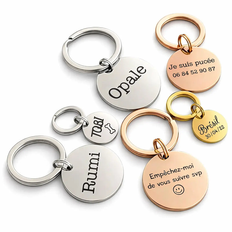 Médailles personnalisées pour chien et chat en acier inoxydable gravé avec prénom et numéro, finition argent et or