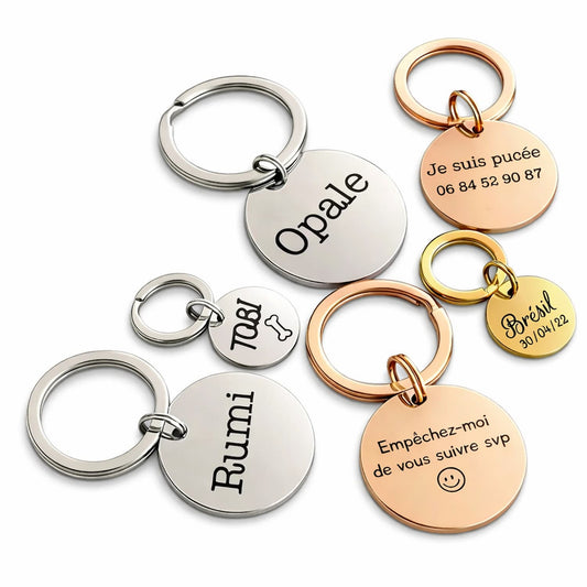Médaille chien et chat gravée en inox — Guide complet pour bien choisir