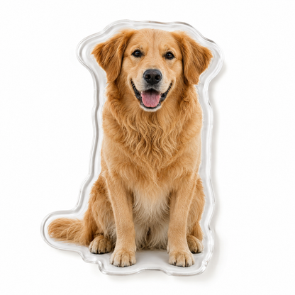 Aimant photo personnalisé – Transformez vos plus beaux souvenirs en magnet unique
