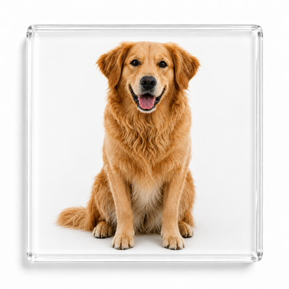 Aimant photo personnalisé – Transformez vos plus beaux souvenirs en magnet unique